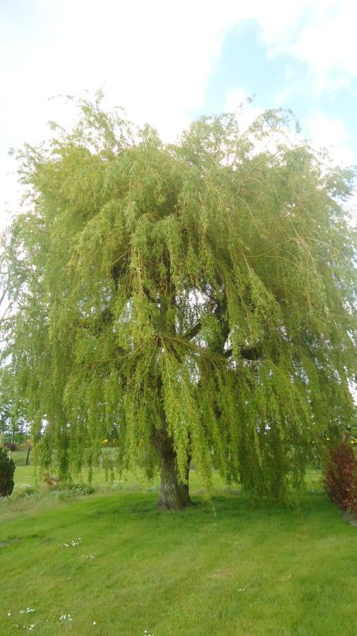 Au Grand Saule Holiday home *