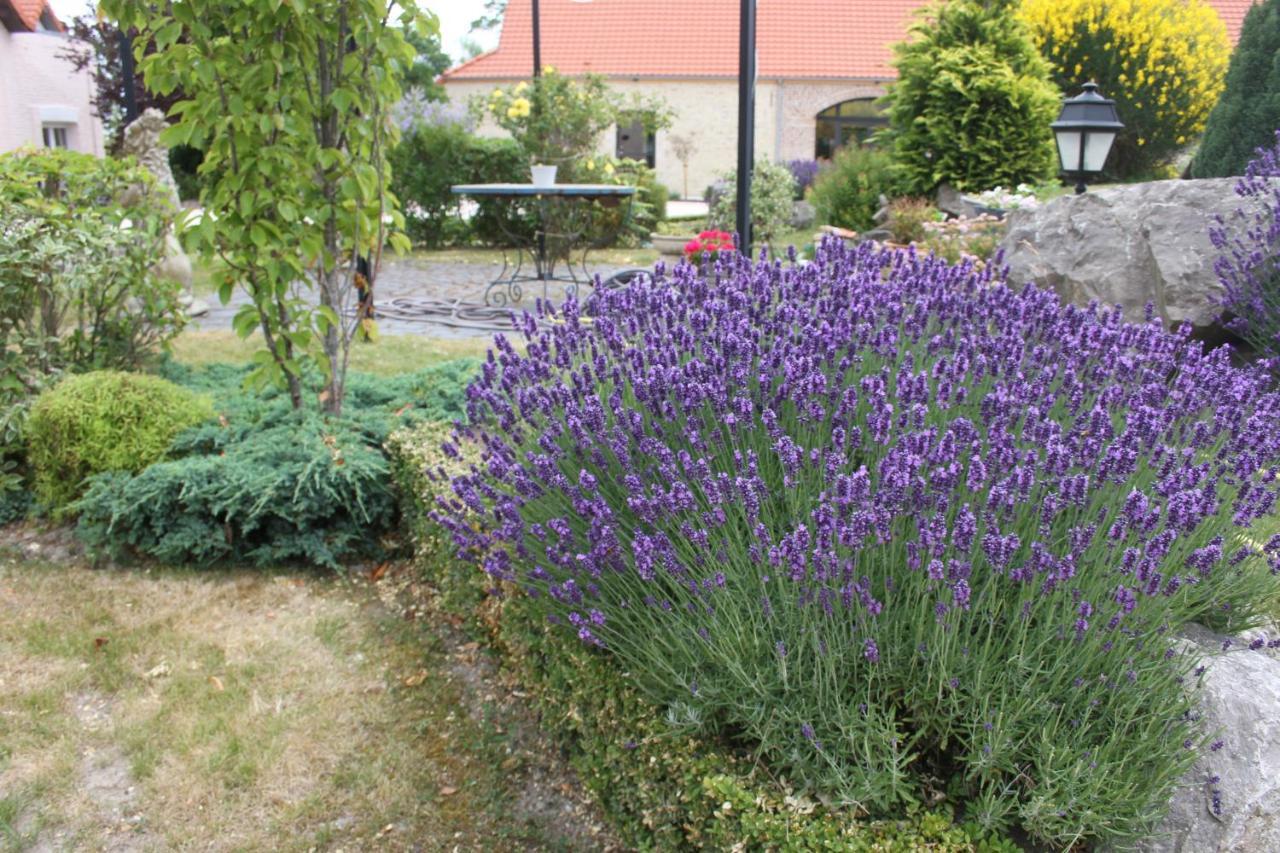 Au Grand Saule *